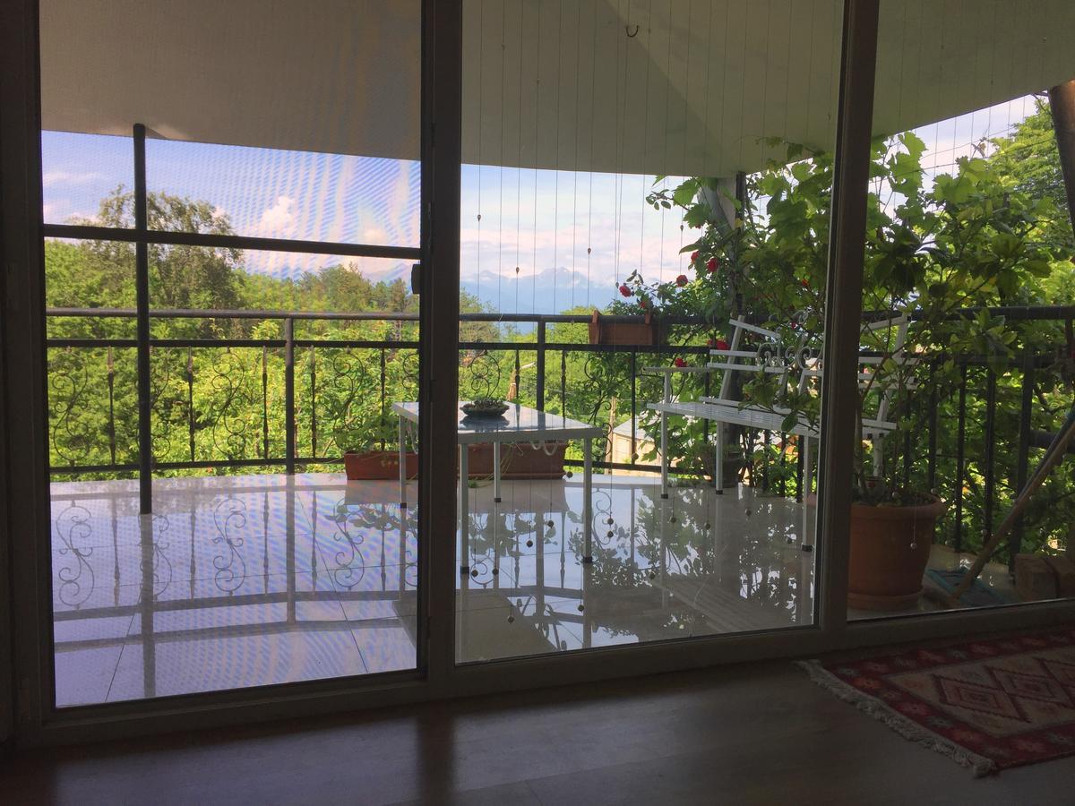 Nino'S Veranda Apartment Telavi Luaran gambar